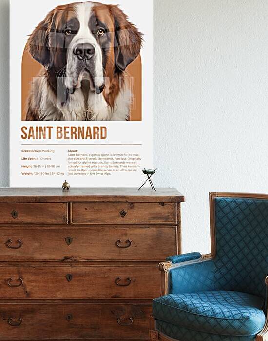 Saint Bernard Informative Poster by Windawn