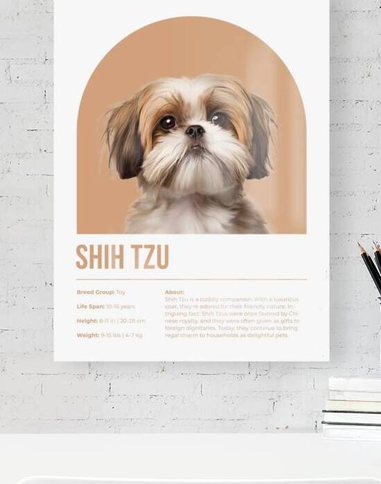Shih Tzu Informative Poster by Windawn