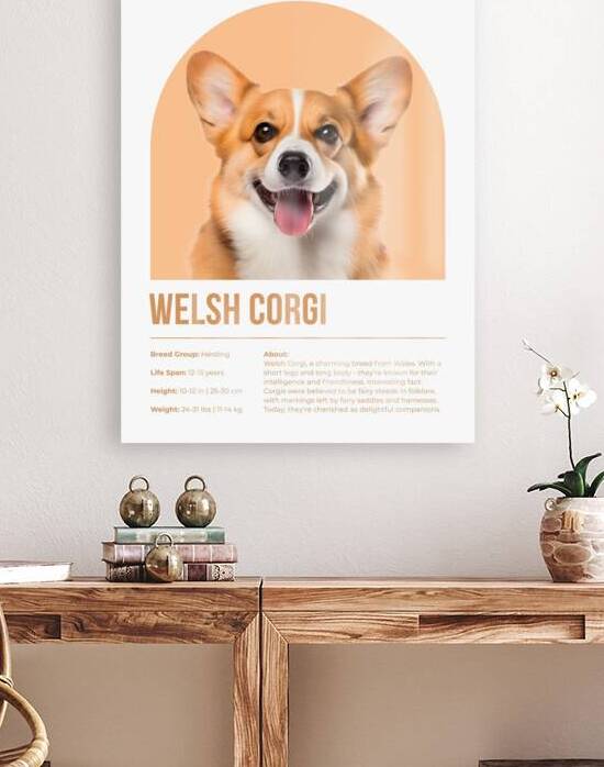 Welsh Corgi Informative Poster by Windawn