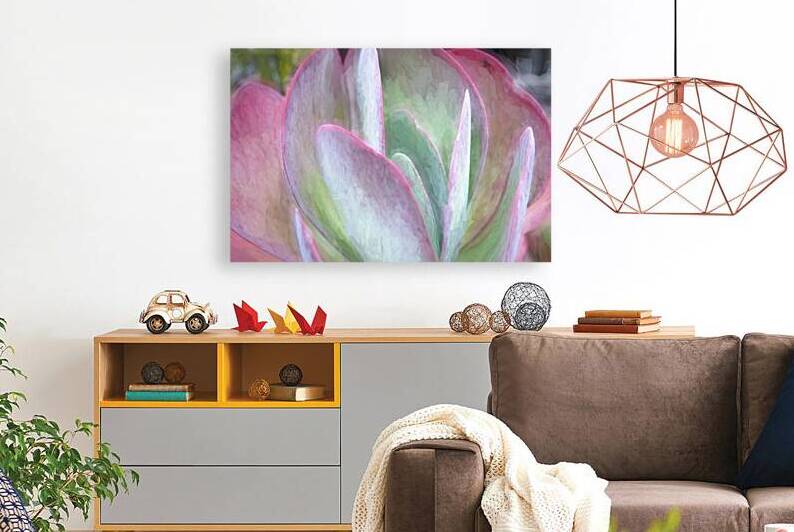 Flapjack Plant Kalanchoe X102 by Rich Franco