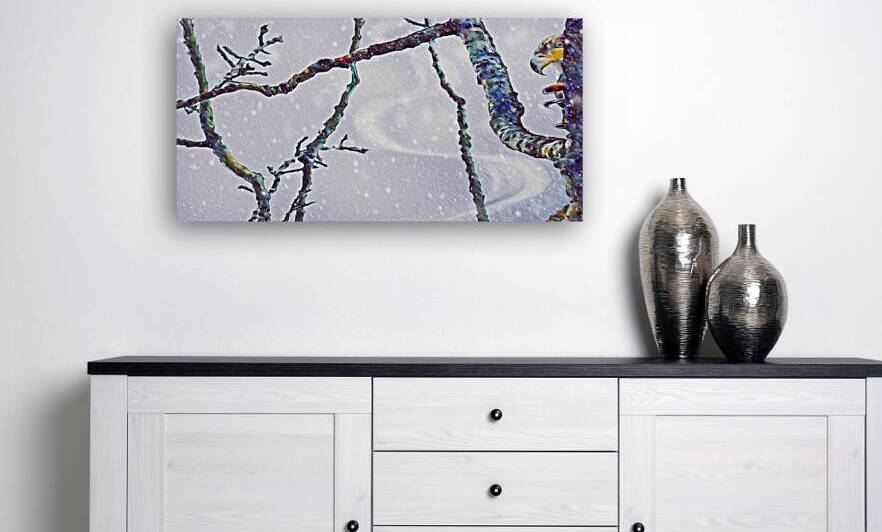 beakaboo panoramic orientation by shawn morris creative