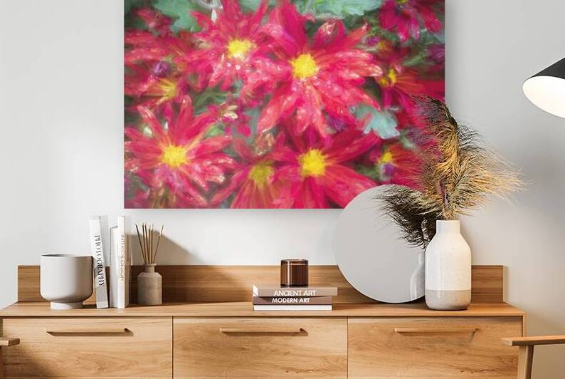 Mums Chrysanthemum X104 by Rich Franco