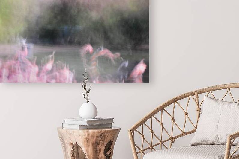 Flamingos by Peter Sturgis