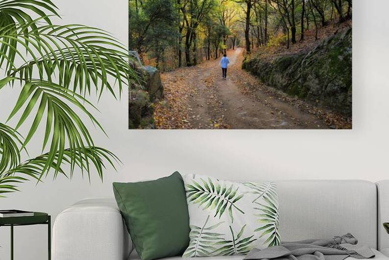 Autumn walk through the Forest - CR2211-8332-ORT by JordiCarrio