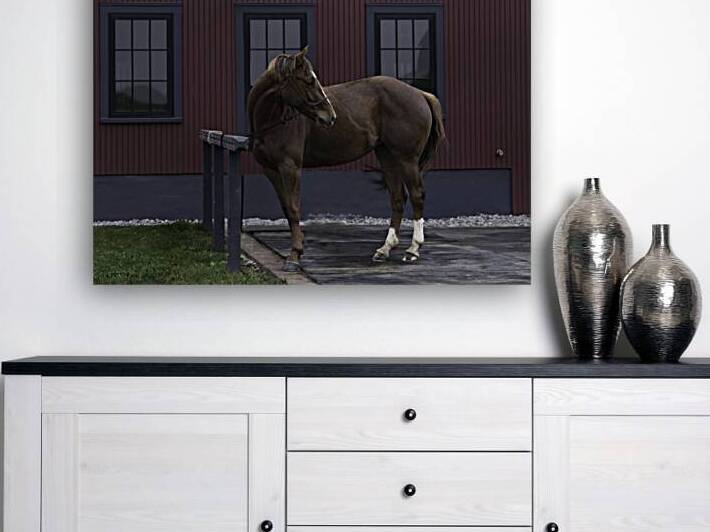 ANI 00109 by John Walborn Promenade Photos