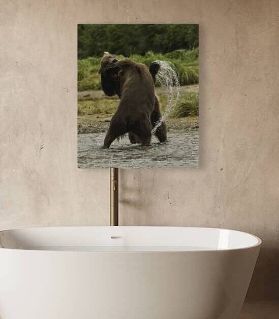 ANI 00164 by John Walborn Promenade Photos