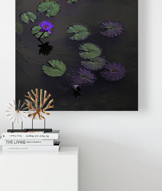 FLO 00443 by John Walborn Promenade Photos