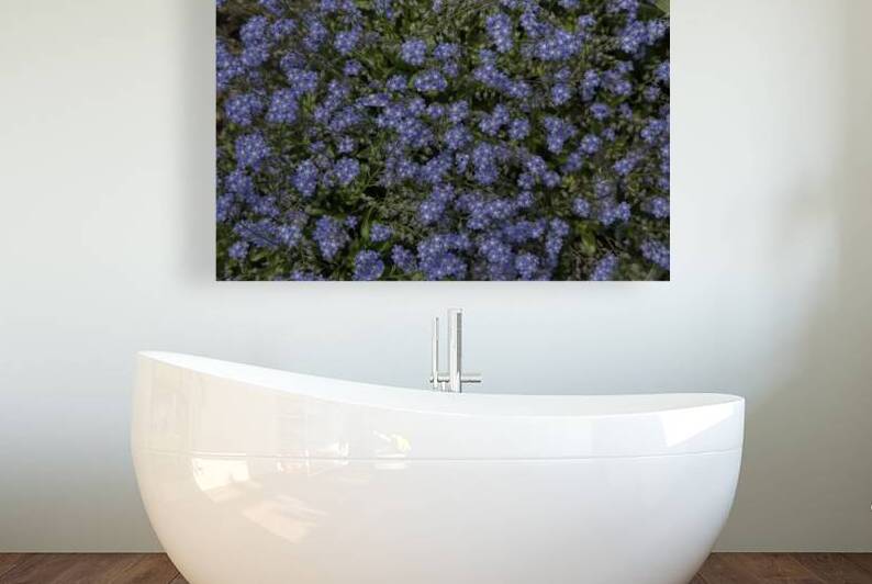 FLO 00557 by John Walborn Promenade Photos