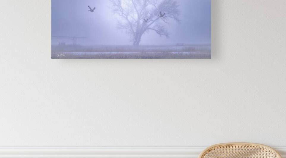 FOGGY PLATTE RIVER WINTER by Carney Photography