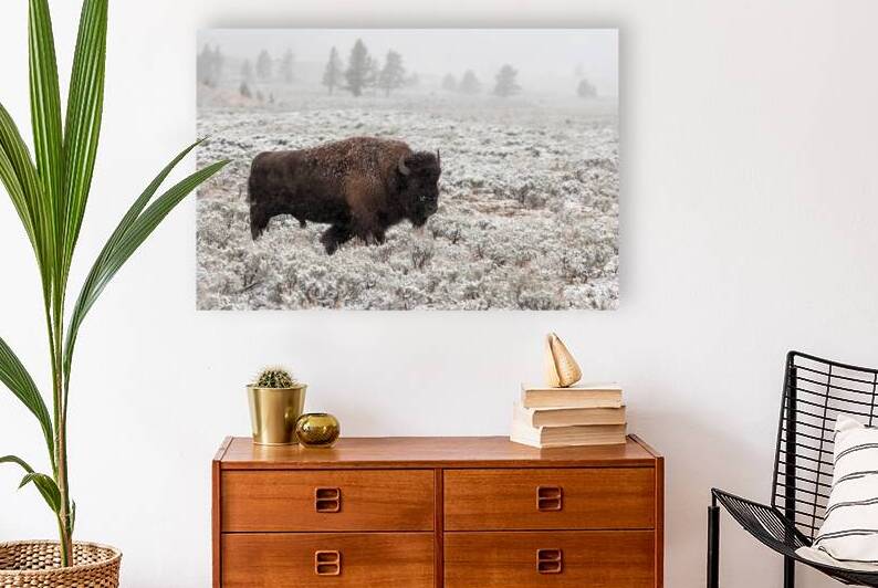 Late Fall Yellowstone by 1x