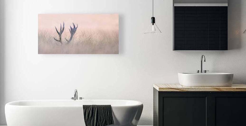 Hide a Seek  ( Horn of Stag) by 1x