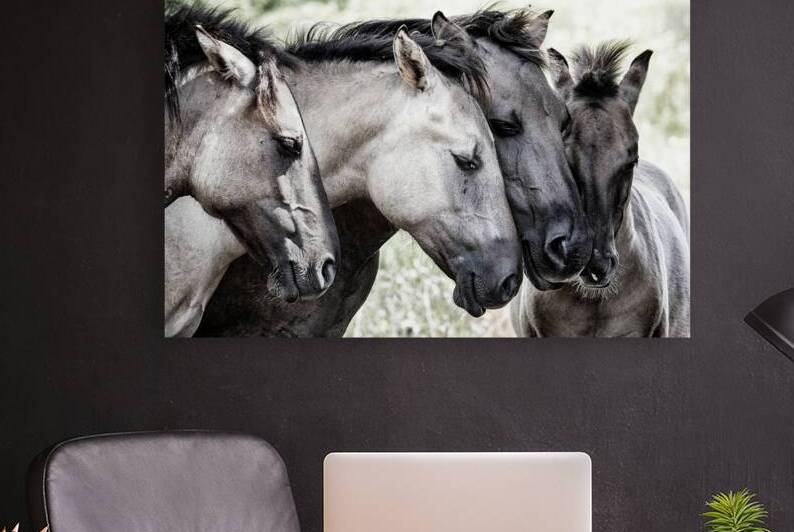 Four Konik Horses by 1x