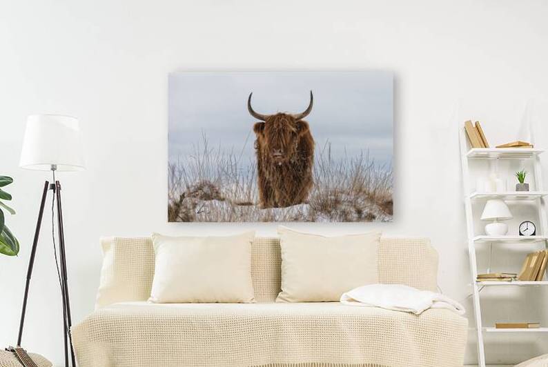 Highlander in Snow by 1x