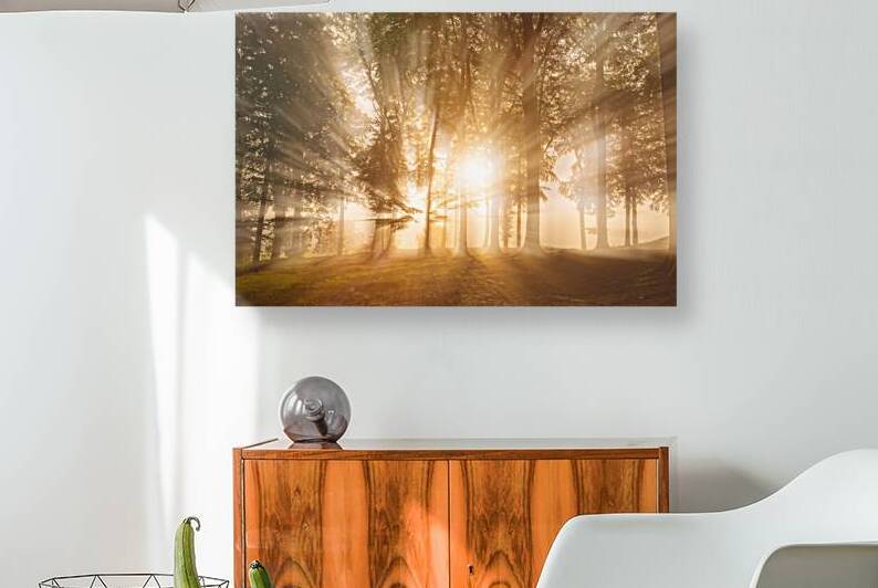 Blinded by the light by 1x