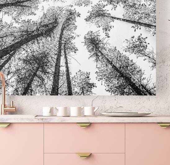 Tree Etching 002 by 1x