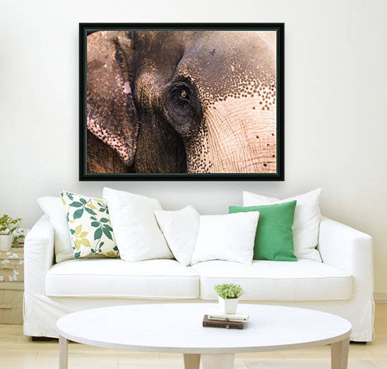 Close Up Of Elephant by PacificStock