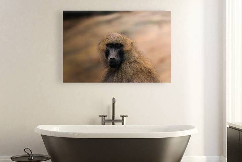 IMG 0200 by Larsphotografie