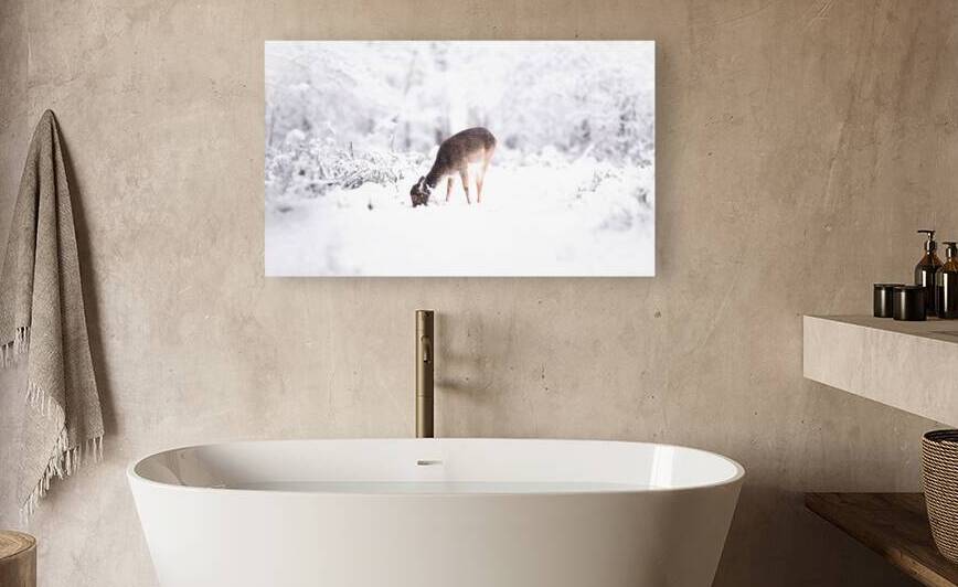 DSC 3126 Verbessert NR by Larsphotografie