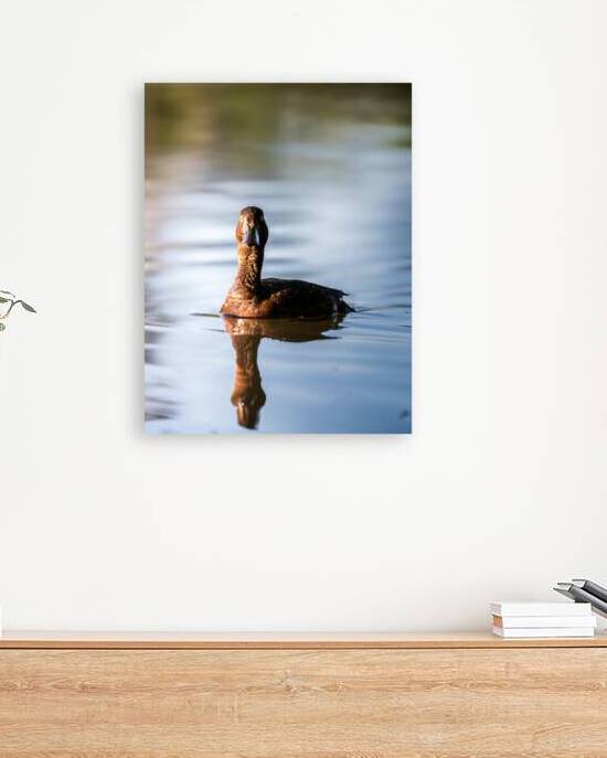 DSC 2095 Verbessert NR by Larsphotografie