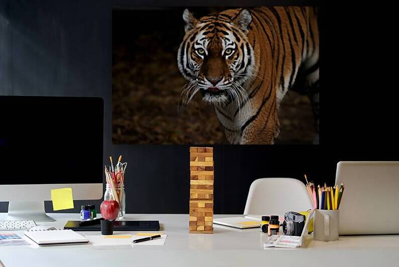 DSC 8432 Verbessert NR by Larsphotografie