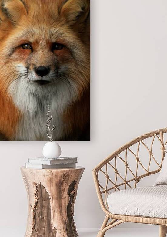 DSC 7472 Verbessert NR by Larsphotografie