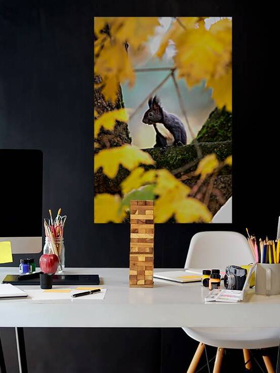 IMG 5076 by Larsphotografie