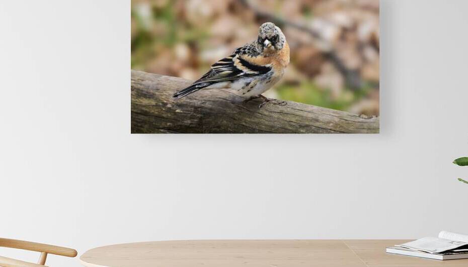 IMG 2441 Verbessert NR by Larsphotografie