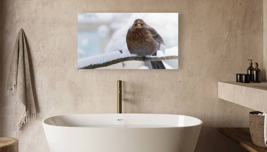 IMG 2991 Verbessert NR 1 by Larsphotografie