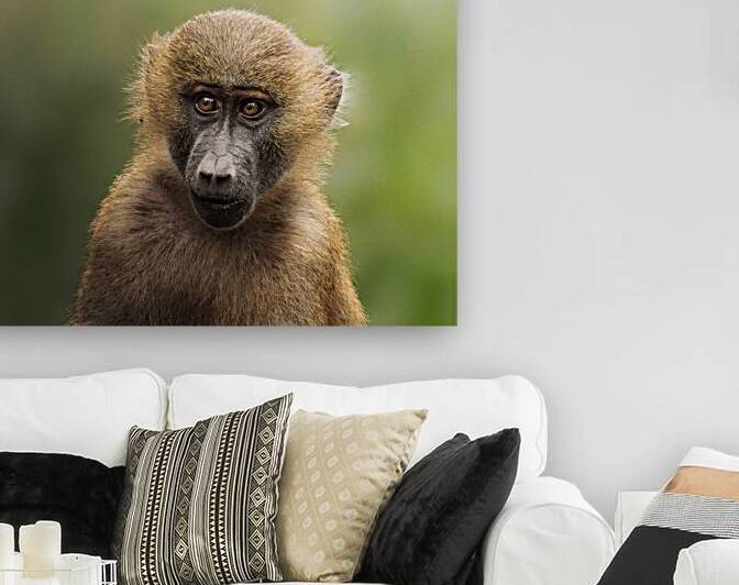 DSC 8337 Verbessert NR by Larsphotografie