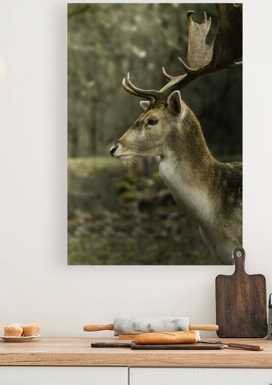 DSC 6606 Verbessert NR by Larsphotografie