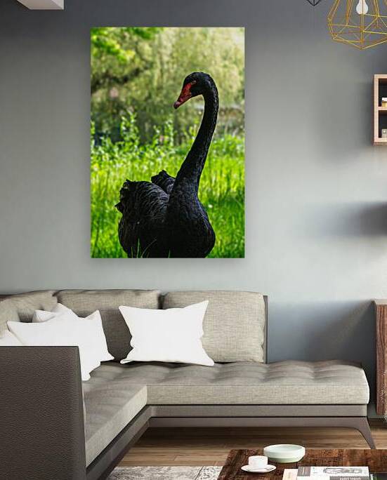 DSC 1559 Verbessert SR by Larsphotografie