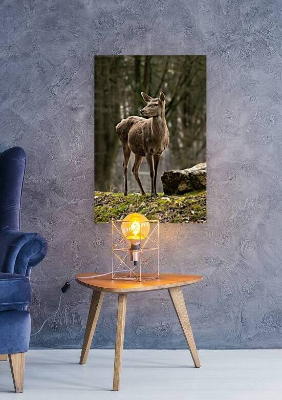 DSC 8039 Verbessert NR by Larsphotografie