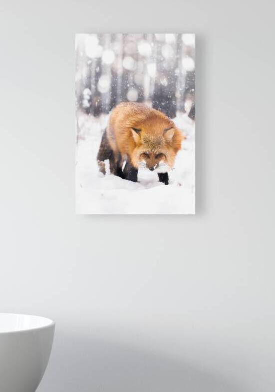 DSC 3230 Verbessert NR by Larsphotografie