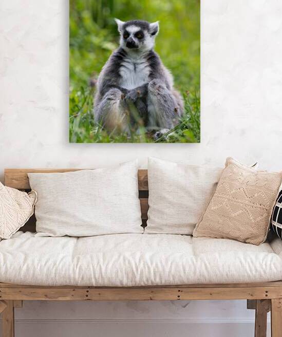 DSC 2302 Verbessert SR by Larsphotografie