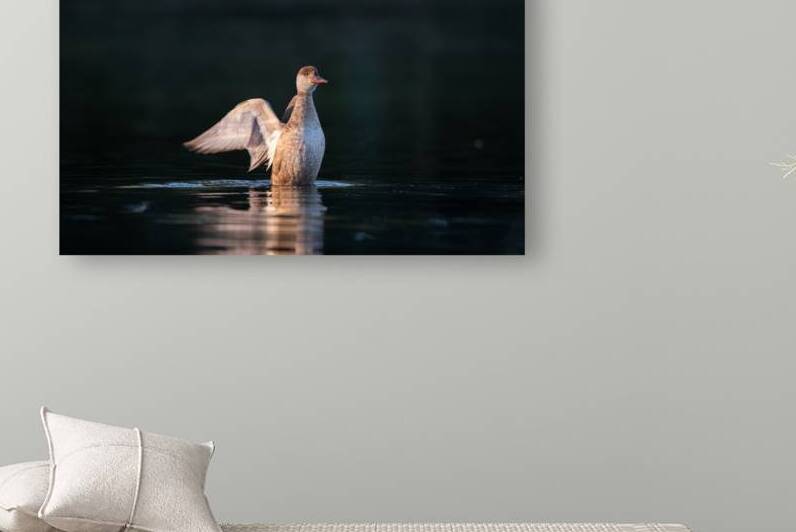 DSC 2035 Verbessert SR by Larsphotografie