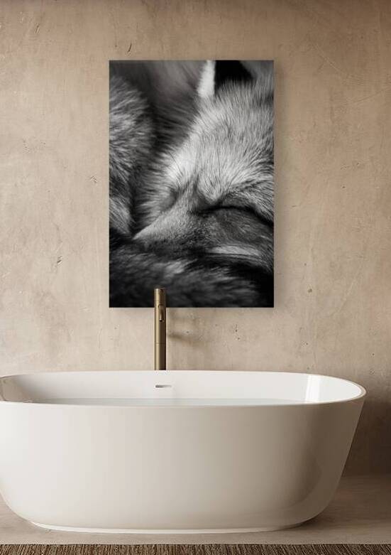 DSC 7718 Verbessert NR by Larsphotografie