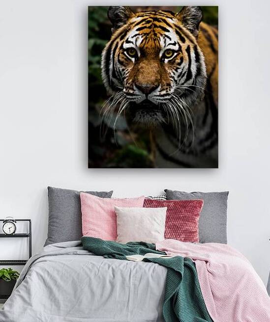 DSC 8439 Verbessert SR by Larsphotografie