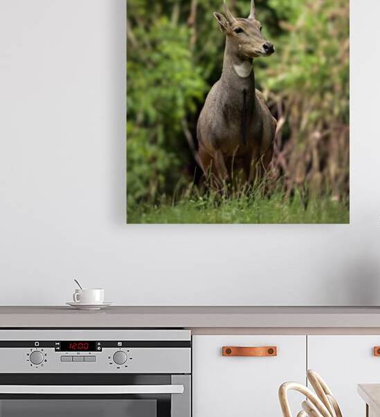 DSC 8597 Verbessert NR by Larsphotografie