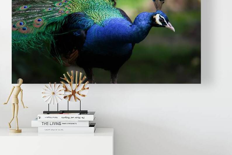 DSC 9160 Verbessert SR by Larsphotografie