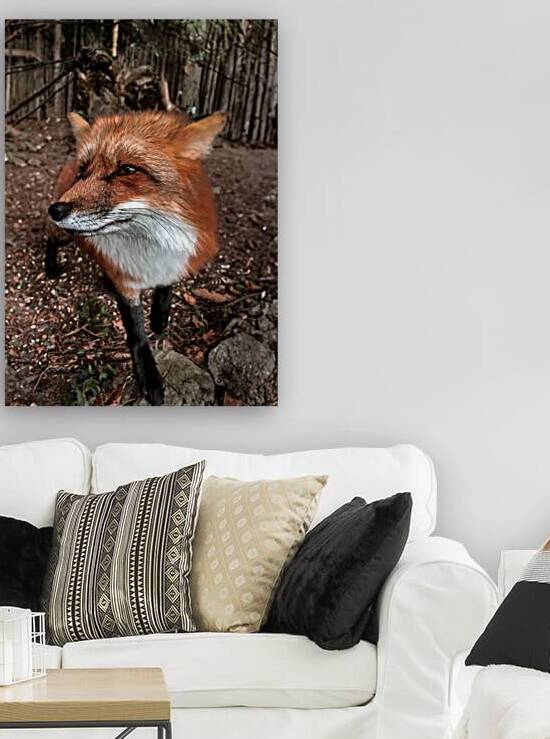 00015750 by Larsphotografie