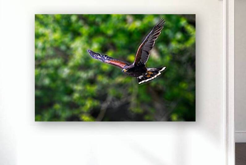 DSC 1212 Verbessert NR by Larsphotografie