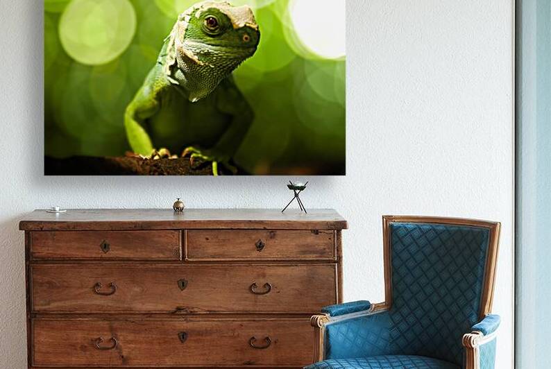 DSC 6149 Verbessert SR by Larsphotografie