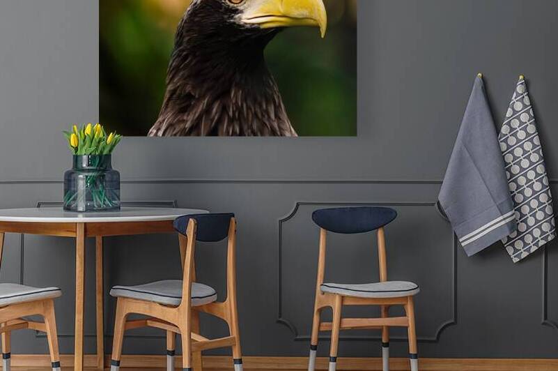 DSC 8479 Verbessert NR by Larsphotografie