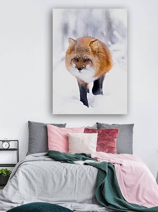 nachher by Larsphotografie