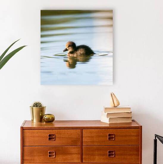 DSC 2106 Verbessert NR by Larsphotografie