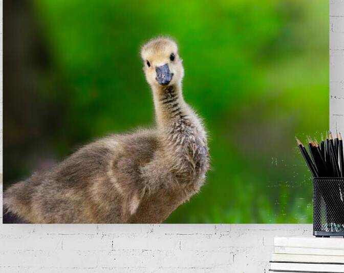 DSC 0693 Verbessert SR by Larsphotografie