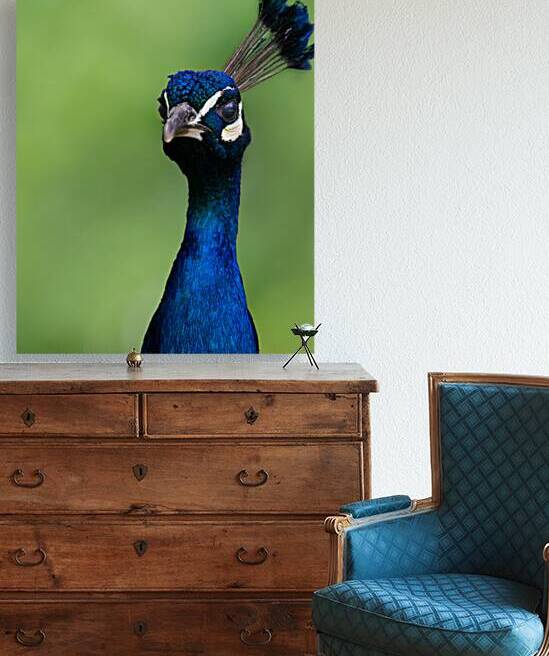 DSC 9200 Verbessert SR by Larsphotografie