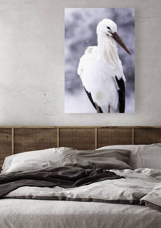 DSC 0031 Verbessert NR by Larsphotografie