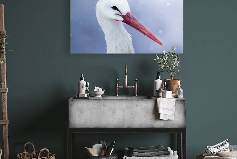 DSC 0008 Verbessert SR by Larsphotografie