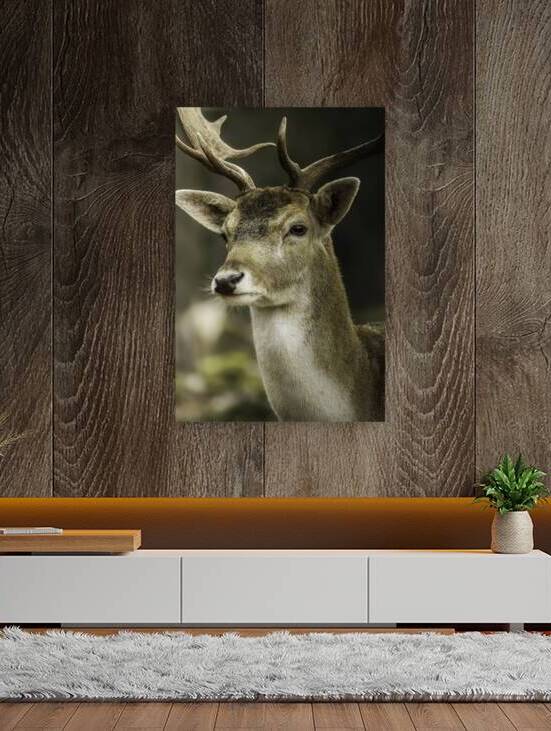 DSC 6615 Verbessert NR by Larsphotografie